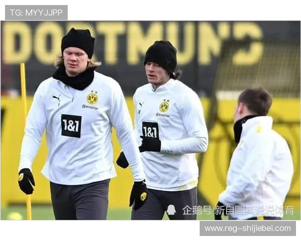 哈兰德为什么不踢世界杯的原因揭秘