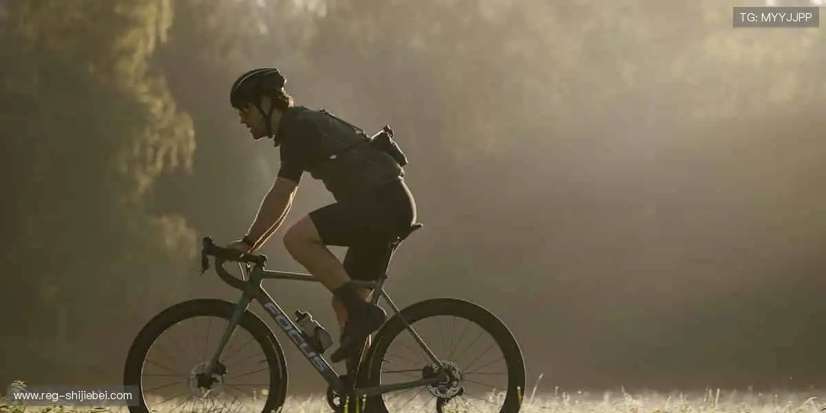 畅玩捕鱼游戏世界：多重玩法一站聚合，总有一种适合你